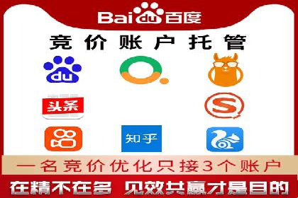 探索SEM服务托管的未来趋势及发展案例